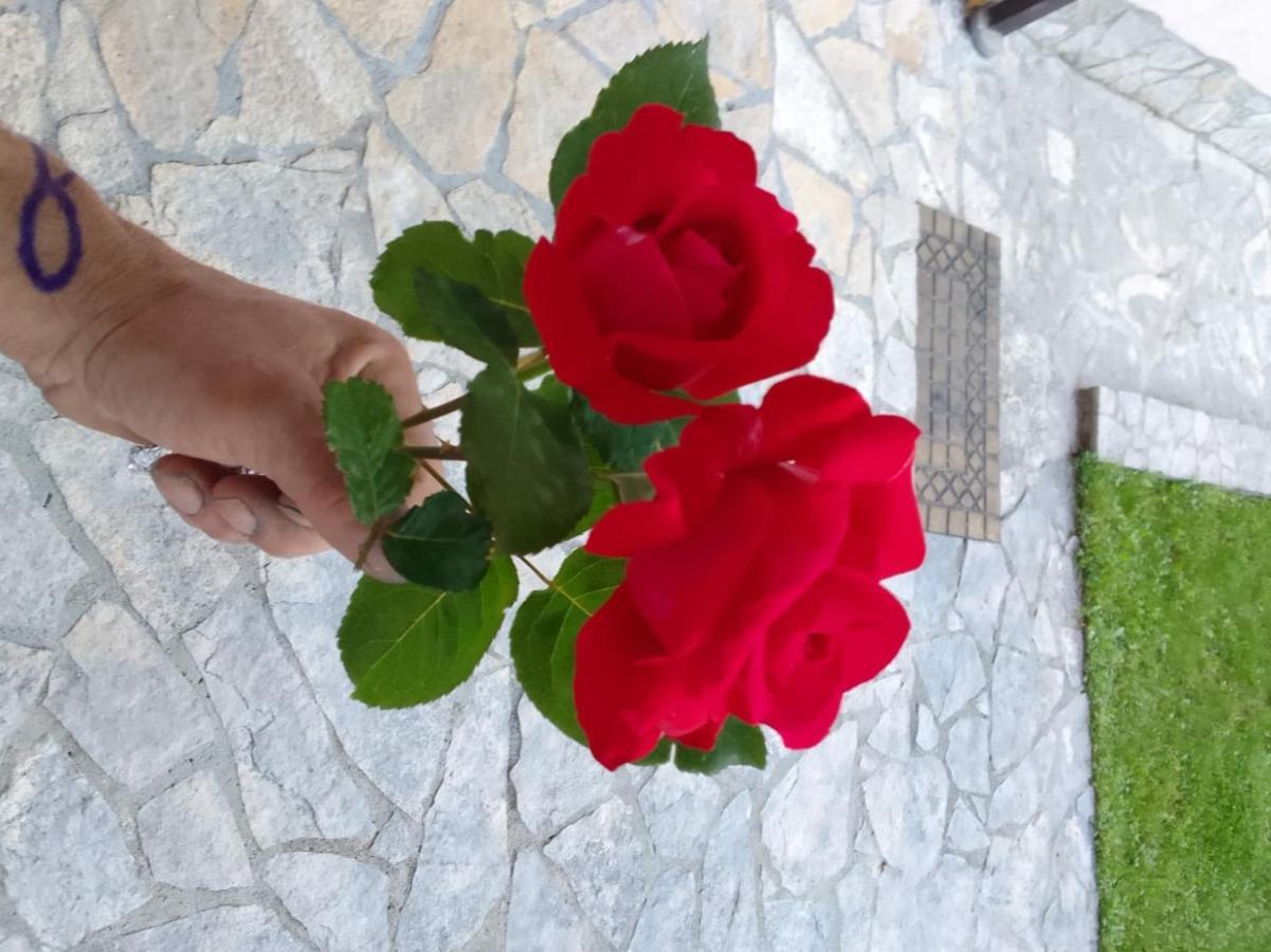 Villa Melograno 모스타르 외부 사진